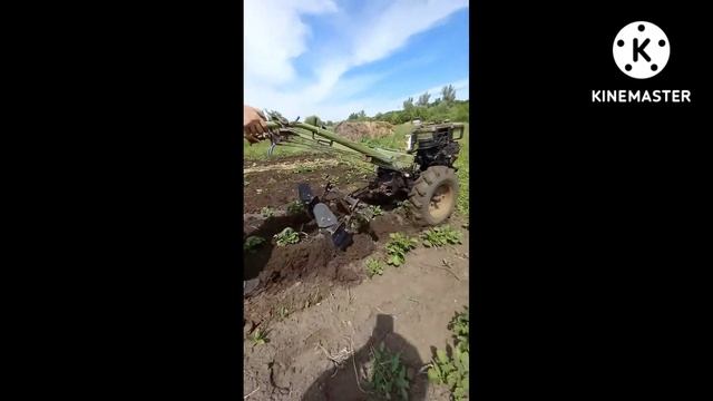Підгортання картоплі тяжким мотоблоком смотреть онлайн