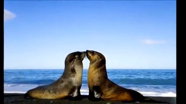 Древняя Тибетская мантра исполняющая желания!!! смотреть онлайн