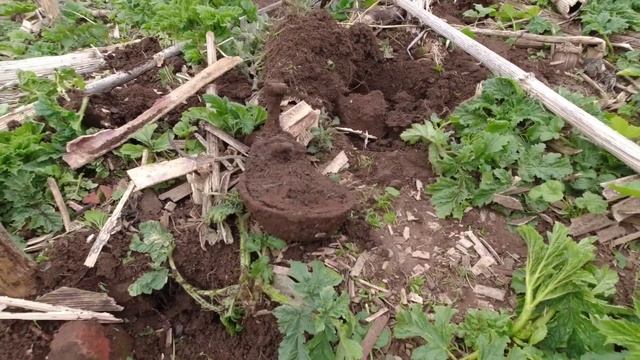 Коп на старой ферме с МД 4030 смотреть онлайн