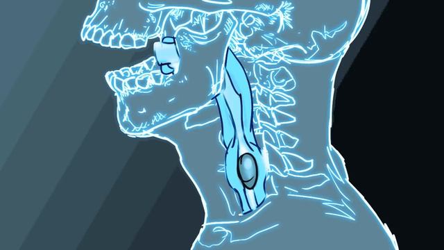 Xenomorph Life Cycle