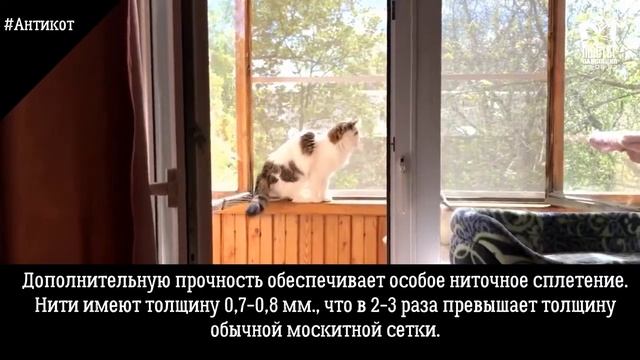 Сверхпрочные, сверхнадежные сетки антикошка на окно балкон лоджию в Кирове защита от когтей и клюво смотреть онлайн