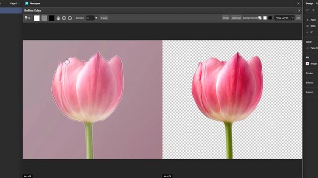 Remove the Background Image || Figma Photopea Tutorial смотреть онлайн