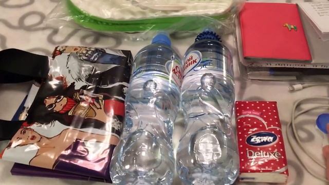 Сумка в роддом им. А.К. Ерамишанцева г. Москва 1 ( все самое необходимое на роды) смотреть онлайн