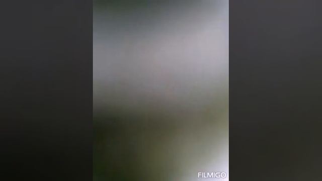 Кароче я сделал свою музыку называется бас смотреть онлайн