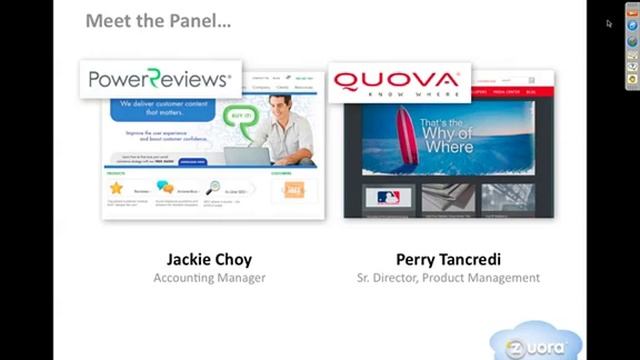 Zuora Webinar - January 2011: Pricing & Billing Strategies смотреть онлайн