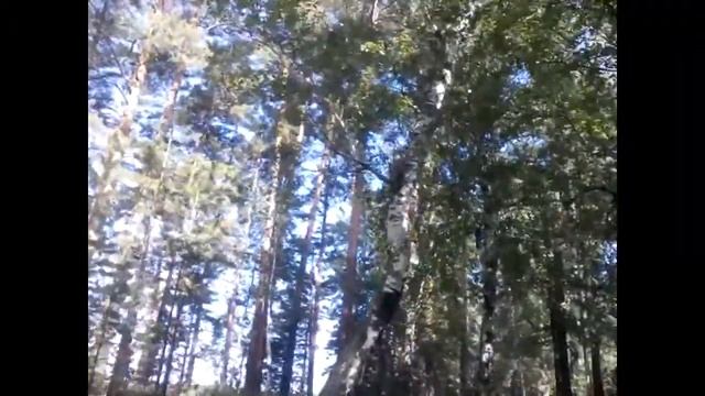 оз большой теренкуль смотреть онлайн