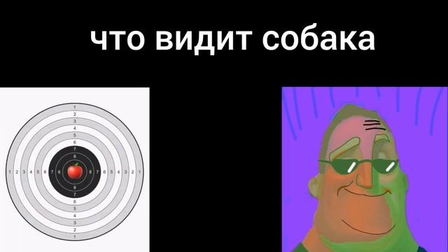 что видишь против что видит собака смотреть онлайн