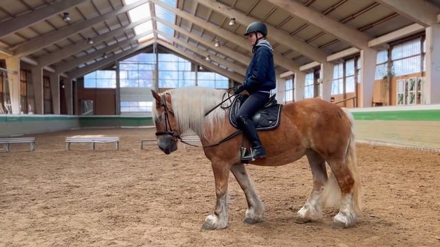 MEIN FREUND NIMMT REITSTUNDEN!!😱😍 смотреть онлайн