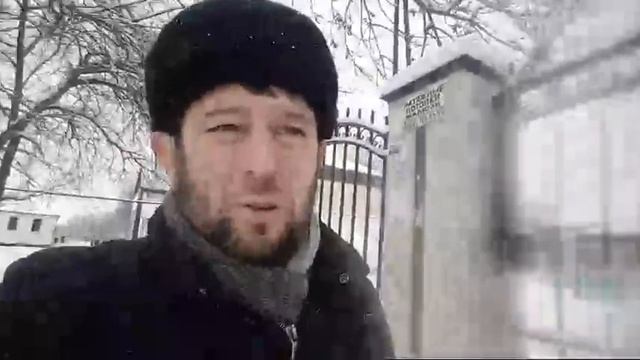 Артуран г1о дан цхьа де дисан. ?Ссылка для голосования в описании смотреть онлайн