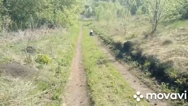 Чем занимаются дети в деревне смотреть онлайн