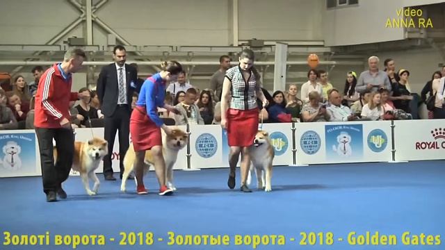 04 Племенная группа ЗОЛОТЫЕ ВОРОТА 2018 Киев смотреть онлайн