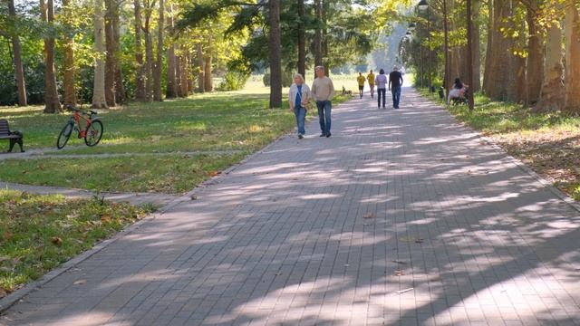 Прогулка по осеннему Ботаническому саду в Краснодаре, 4к смотреть онлайн