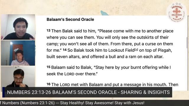 NUMBERS 23:1-26 BALAAM'S FIRST & SECOND ORACLE (S14 E23) смотреть онлайн