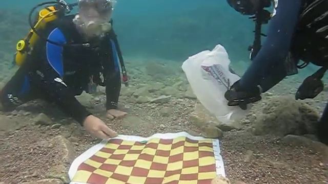 Израиль Эйлат Красное море дайвинг шашки под водой подготовка к партии смотреть онлайн