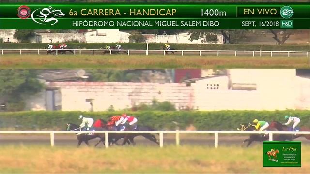 2018-281 Alcindoro (USA) sept. 16, 2018 - Hipódromo Miguel Salem Dibo - Revista La Fija смотреть онлайн