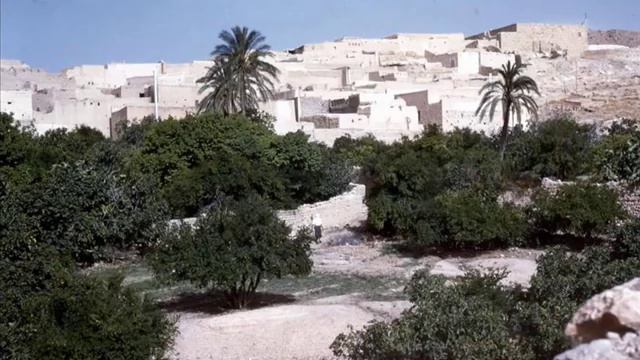 L'Algérie - Serge Lama смотреть онлайн