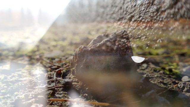 Canon PowerShot G9 X Macro Shots (up to 4K and 5K resolution) смотреть онлайн