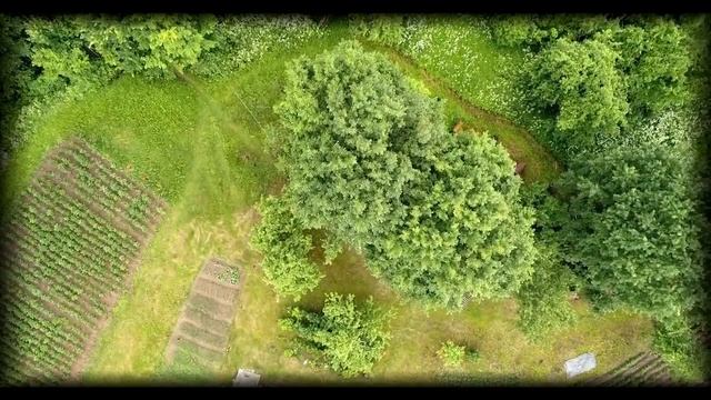 НЕРОДНОЙ ОТЕЦ | Страшные обряды | Мистические истории | Дневник историй | Ведьма | Horror смотреть онлайн