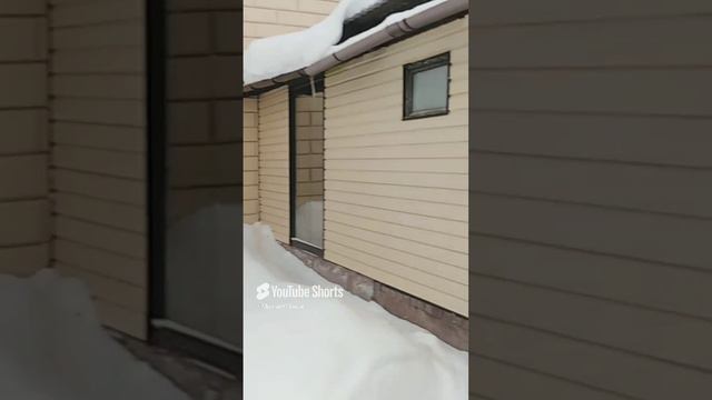 9 декабря 2023 г.