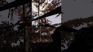 Баг в Far Cry 4 - Глюк текстур и локации