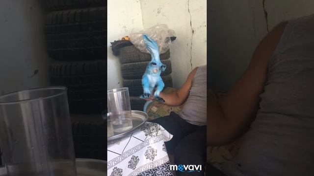 Режут барана жесть😨 смотреть онлайн