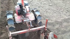 Окучник двух рядный.