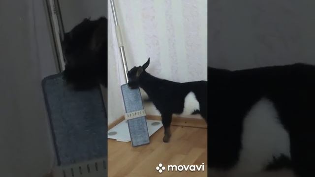 Убираем или пытаемся... смотреть онлайн