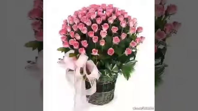 Красивое пожелание смотреть онлайн
