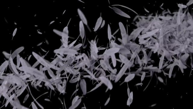 TXT (투모로우바이투게더) The Name Chapter Concept Trailer