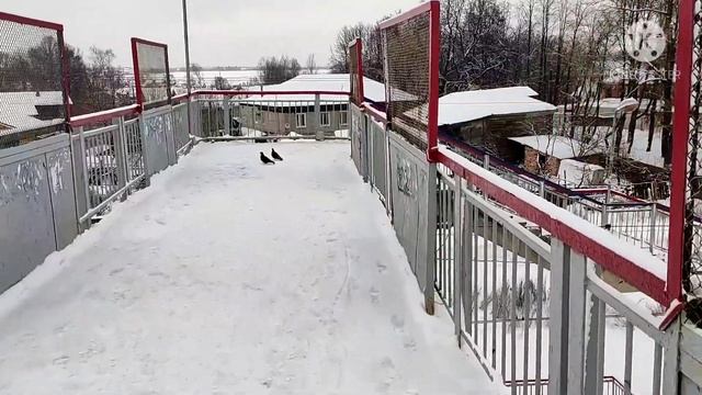 ЗИМНЯЯ ПРОГУЛКА. ДАЧА. ГОРОД СТРУНИНО, ВЛАДИМИРСКАЯ ОБЛАСТЬ. РЕКОМЕНДУЮ К ПРОСМОТРУ. смотреть онлайн