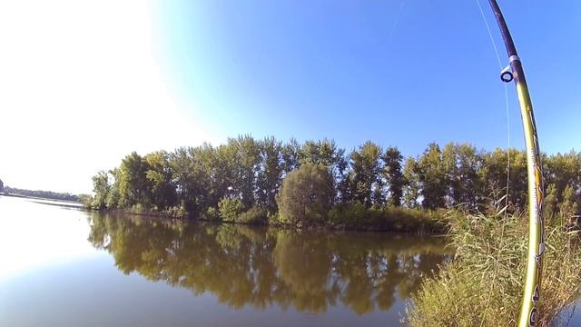 ЛОВЛЯ ТОЛСТОЛОБА НА ТЕХНОПЛАНКТОН. УДОЧКА В ДУГУ!!! смотреть онлайн