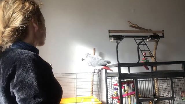 Жако учим целоваться продолжение смотреть онлайн