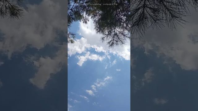 Небо и облака,в облаках можно увидеть всё #путешествие #travel смотреть онлайн