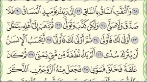 Коран. Сура "аль-Кийама" (аль-Кияма) № 75. Аяты 20-40 (до конца) . #коран #АрабиЯ #таджвид