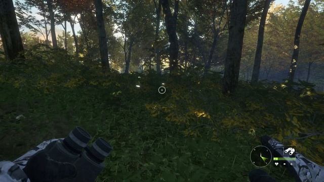 The Hunter Call of the Wild Tips and Tricks for Beginners! смотреть онлайн