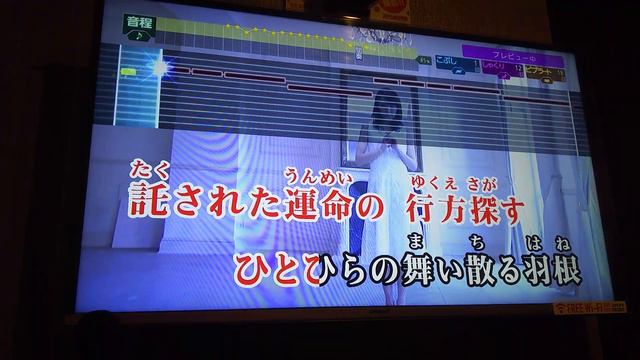ぴちぴちピッチピュア　翼を抱いて（皆川純子）歌ってみた　96点