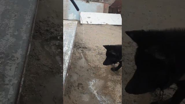 Сушняк после пьянки смотреть онлайн