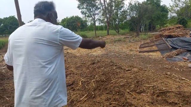 S9Culture Organic Manure Preparation|| कंपोस्ट खताच्या डेपोला S9cultureचे lapping करणे||#S9cultur смотреть онлайн