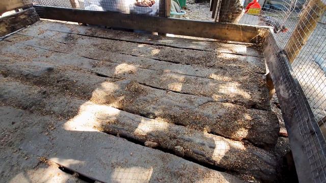 ЧЕМ ПРИХОДИТСЯ ЗАНИМАТЬСЯ ЖИВЯ В ДЕРЕВНЕ. ДОБРЫЕ ДЕЛА