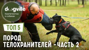 ТОП 5 Пород собак ТЕЛОХРАНИТЕЛЕЙ - Часть 2