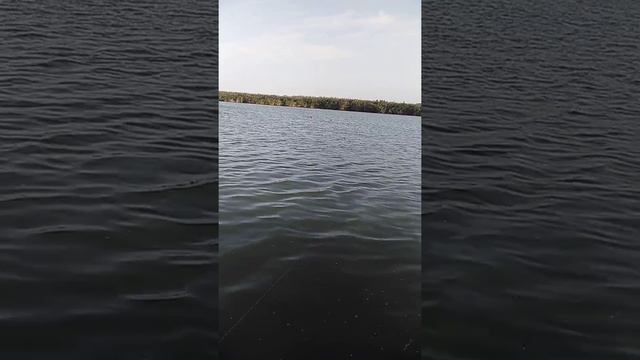 Прикормочный кораблик Катран и ветер 12м в секунду смотреть онлайн