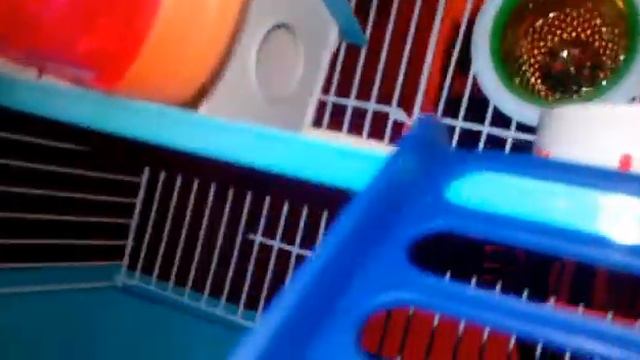 Как у меня появился друг/история хомки смотреть онлайн