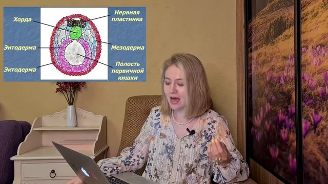 ОНТОГЕНЕЗ РОХЛОВ 2023||БЛАСТУЛА/ГАСТРУЛА/НЕЙРУЛА/ЧТО ОБРАЗУЕТСЯ ИЗ ЭКТО-,ЭНТО-,МЕЗОДЕРМЫ/РЕШАЕМ З-Я смотреть онлайн