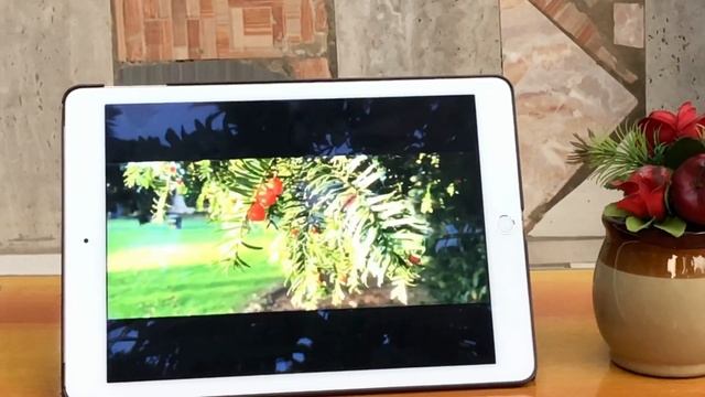 iPadOS 14 on iPad Air 2 смотреть онлайн