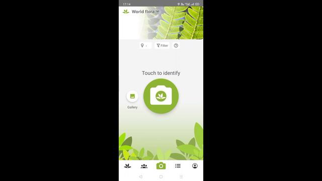 Let's Identify Your Garden Plants As Developing Good Hobby For Refreshing Your Mind