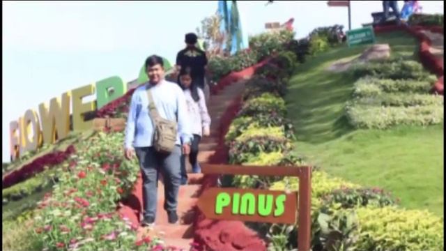9 BUDIDAYA BUNGA VINCA DI BATU FLOWER GARDEN смотреть онлайн