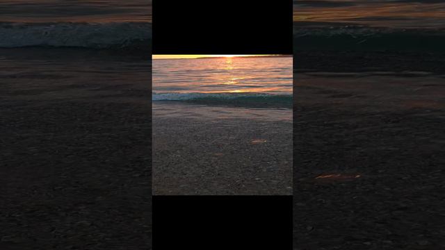 ЭлектроОльга