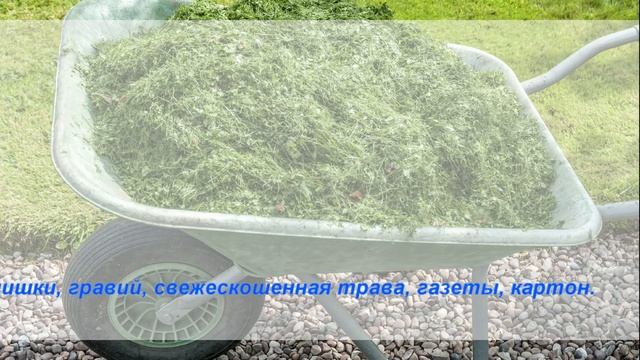 Топ 5 - Эффективные методы борьбы с сорняками + 5 народных рецептов, советы и рекомендации. смотреть онлайн