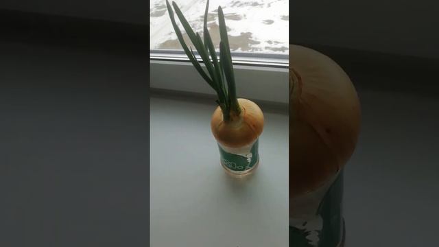 До и после 3 часть смотреть онлайн