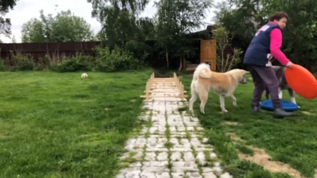 Занятия на свежем воздухе. смотреть онлайн